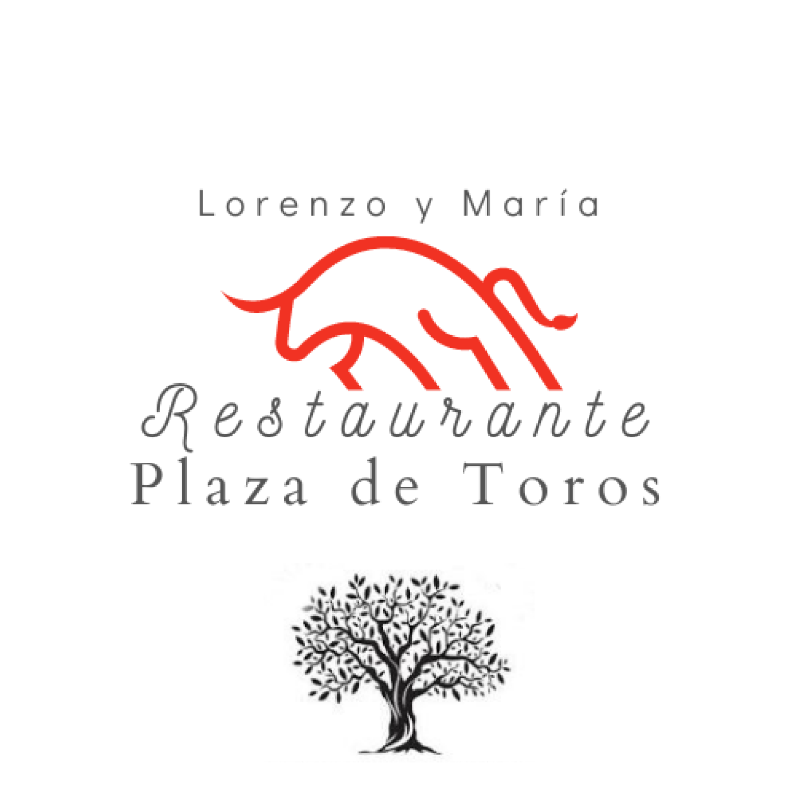 Plaza Toros Lorenzo y María
